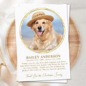 Pet Memorial Elegant Gold Aangepaste foto Sympathi Bedankkaart