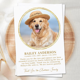 Pet Memorial Elegant Gold Aangepaste foto Sympathi Bedankkaart