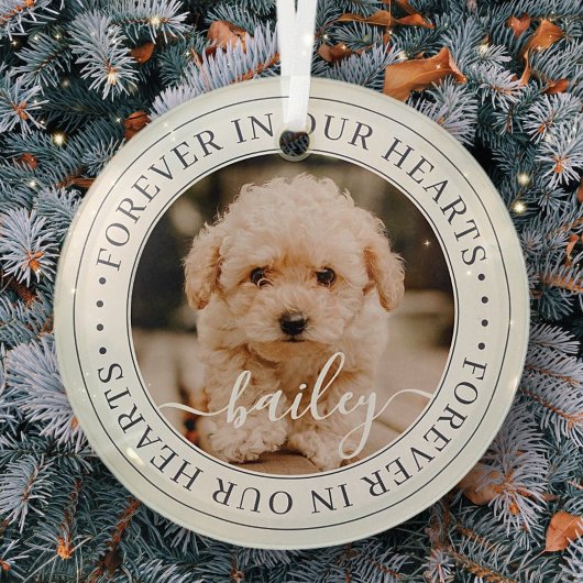 Pet Memorial Forever Hearts Elegant Foto Glas Ornament