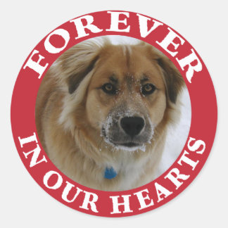 Pet Memorial Forever Holiday rood Ronde Sticker