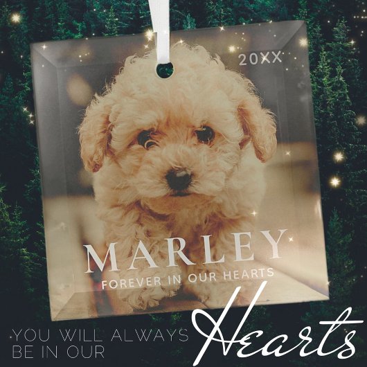 Pet Memorial Forever hoort eenvoudige foto van ele Glas Ornament