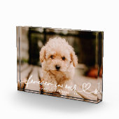 Pet Memorial Forever hoort eenvoudige moderne Fotoblokken (Rechts)