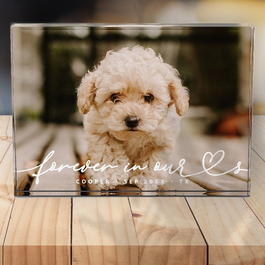 Pet Memorial Forever hoort eenvoudige moderne Fotoblokken