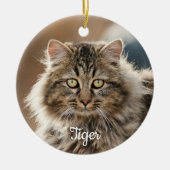 Pet Memorial Forever in Our Hearts Cat Foto Keramisch Ornament (Voorkant)