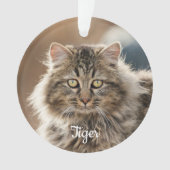 Pet Memorial Forever in Our Hearts Cat Foto Ornament (voorkant)