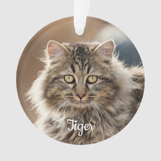 Pet Memorial Forever in Our Hearts Cat Foto Ornament (voorkant)