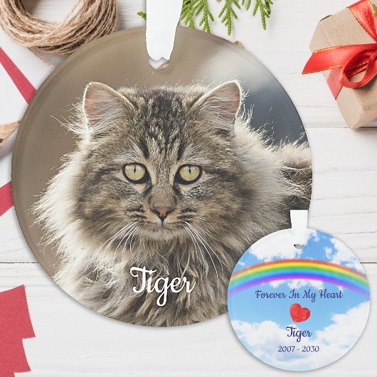 Pet Memorial Forever in Our Hearts Cat Foto Ornament