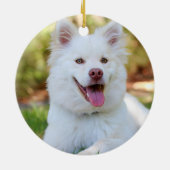 Pet Memorial foto aandenken Keramisch Ornament (Achterkant)