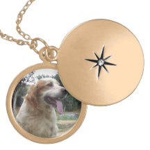 Pet Memorial Foto Ketting
