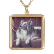 Pet Memorial Foto Ketting