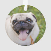 Pet Memorial Foto Ornament (achterkant)