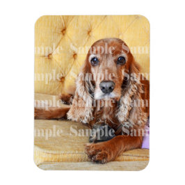 Pet memorial foto PERSONALIZE Magneet