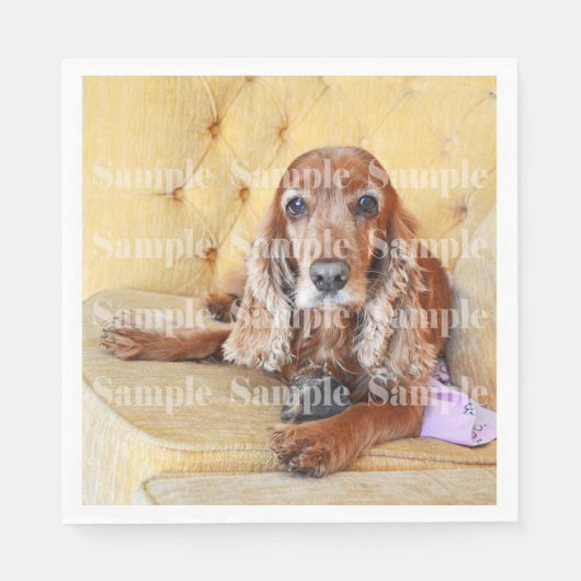 Pet memorial foto PERSONALIZE Servet (Voorkant)
