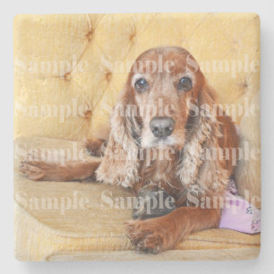 Pet memorial foto PERSONALIZE Stenen Onderzetter