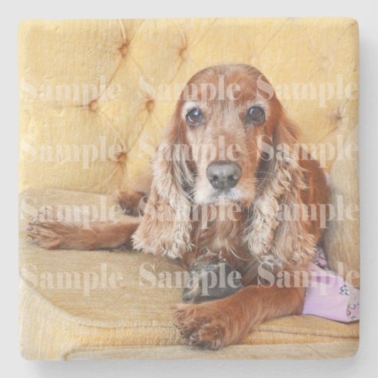 Pet memorial foto PERSONALIZE Stenen Onderzetter (Voorkant)