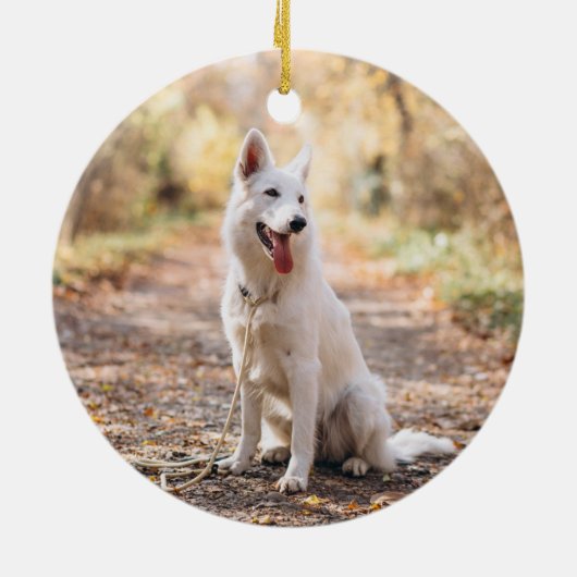 Pet Memorial Foto Personalized Holiday Elements Keramisch Ornament (Achterkant)