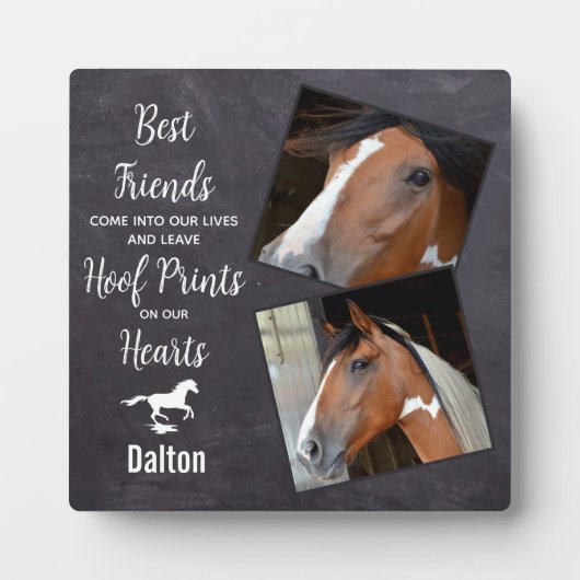 Pet Memorial Fotoplaat (Voorkant)