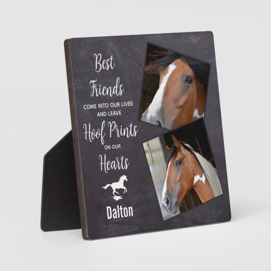 Pet Memorial Fotoplaat (Voorkant)