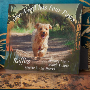 Pet Memorial Four Paws Sunset 2009 Plaque Fotoplaat