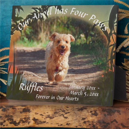 Pet Memorial Four Paws Sunset 2009 Plaque Fotoplaat