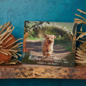 Pet Memorial Four Paws Sunset 2009 Plaque Fotoplaat (Zijkant)