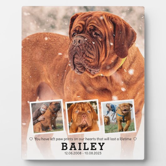 Pet Memorial Gift - Dog Cat Loss 4 Fotocollage Fotoplaat (Voorkant)