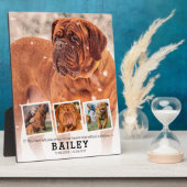 Pet Memorial Gift - Dog Cat Loss 4 Fotocollage Fotoplaat (Zijkant)