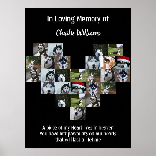 Pet Memorial Gift Pet loss Custom Foto collage Poster (Voorkant)