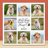 Pet Memorial Gift Pet Loss Keepomwille Foto Collag Fotoplaat