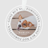 Pet Memorial Gone, niet vergeten Modern Foto Ornament (voorkant)