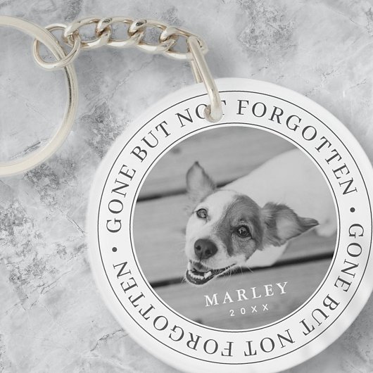 Pet Memorial Gone, niet vergeten Modern Foto Sleutelhanger