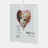 Pet Memorial Herdenkingsgeschenk Glas Ornament (Voorkant links)