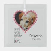 Pet Memorial Herdenkingsgeschenk Glas Ornament (Voorkant)