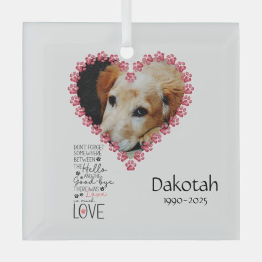 Pet Memorial Herdenkingsgeschenk Glas Ornament (Voorkant)