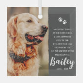 Pet Memorial Herinnering Gedicht Modern Eenvoudige Glas Ornament (Voorkant)