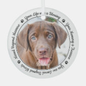 Pet Memorial Herinnering Modern Elegant Dog Foto Glas Ornament (Voorkant)