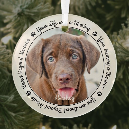Pet Memorial Herinnering Modern Elegant Dog Foto Glas Ornament