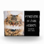 PET Memorial horizontaal blok fotoblok (Voorkant)