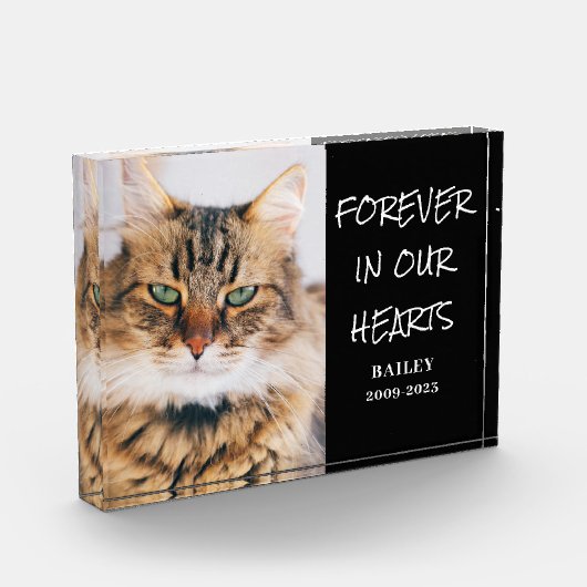 PET Memorial horizontaal blok fotoblok (Links)