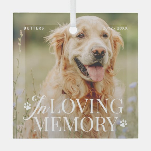 Pet Memorial in liefdevolle herinnering Moderne el Glas Ornament (Voorkant)