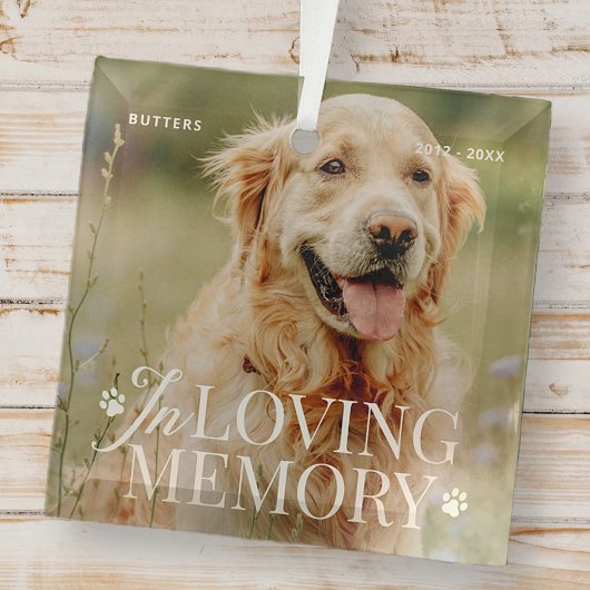Pet Memorial in liefdevolle herinnering Moderne el Glas Ornament