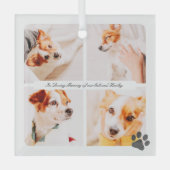 Pet Memorial in liefdevolle herinnering Moderne fo Glas Ornament (Voorkant)