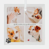 Pet Memorial in liefdevolle herinnering Moderne fo Glas Ornament (Achterkant)