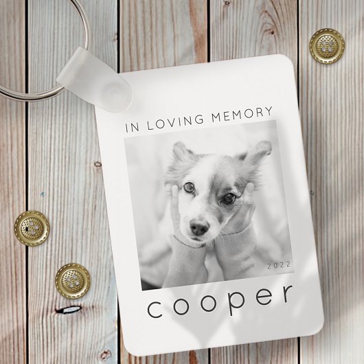 Pet Memorial in Loating Memory Modern Chic Photo Sleutelhanger