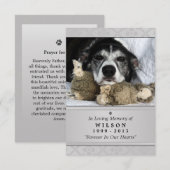 Pet Memorial Kaart 3,5-inch x 5-inch - Grijze mode (Voorkant / Achterkant)