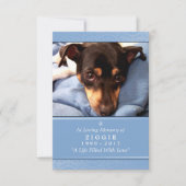Pet Memorial Kaart 3,5-inch x 5-inch - lichtblauwe (Voorkant)