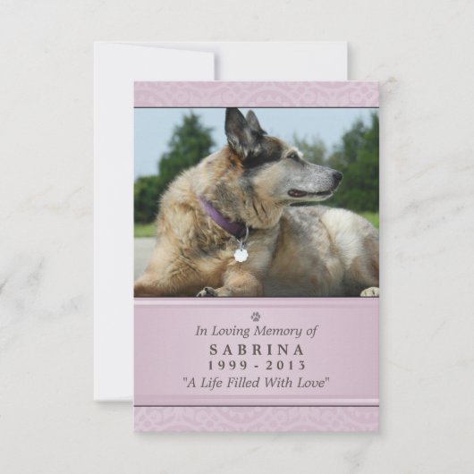 Pet Memorial Kaart 3,5 inch x 5 inch - Roze modern (Voorkant)