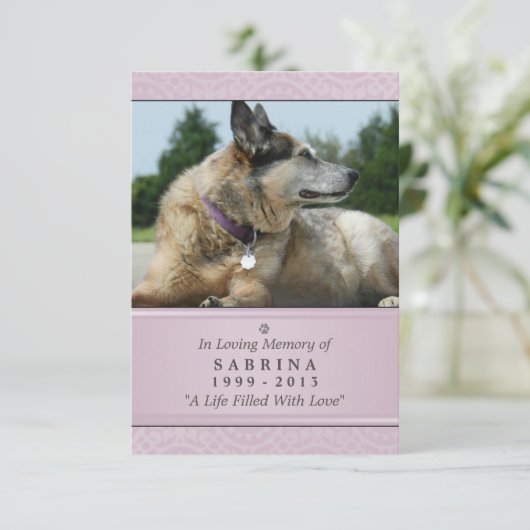 Pet Memorial Kaart 3,5 inch x 5 inch - Roze modern (Staand voorkant)
