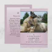 Pet Memorial Kaart 3,5 inch x 5 inch - Roze modern (Voorkant / Achterkant)