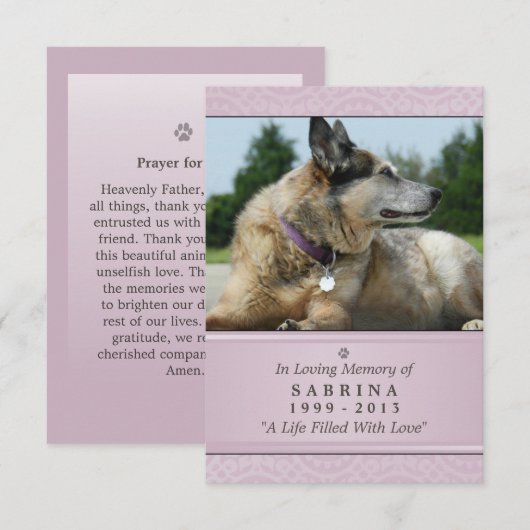 Pet Memorial Kaart 3,5 inch x 5 inch - Roze modern (Voorkant / Achterkant)